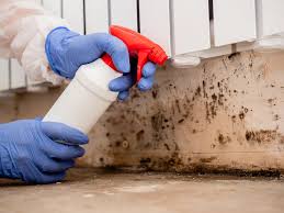 Why You Should Choose Our Mold Remediation Services in Frankfort, OH